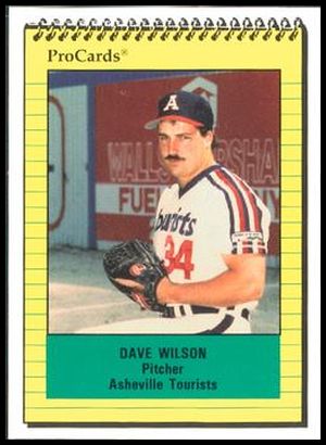 569 Dave Wilson